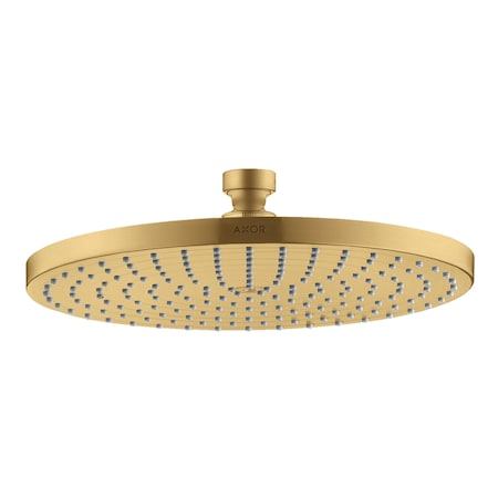 Axor Starck Showerhead 240 1-Jet, 1.75 GPM in Brushed Gold Optic 26071251