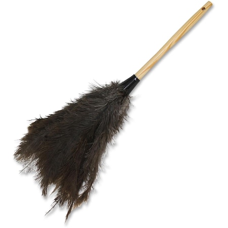 Protectionpro 18 in. Feather Duster - Brown PR1867168