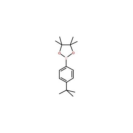 Ak Scientific 4-t-Butylphenylboronic acid pinacol ester (100g), CAS 214360-66-4 X0617-100g