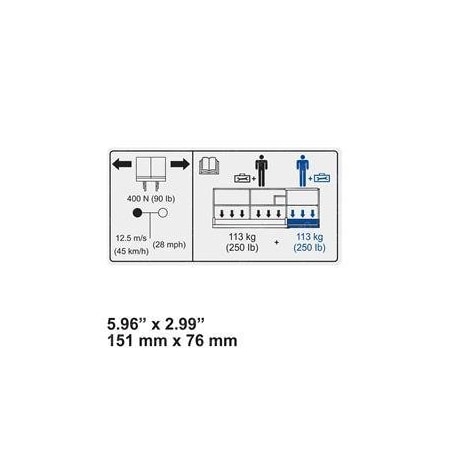 Skyjack REPLACEMENT DECAL, VL CAPACITY 2P 500LB 172202