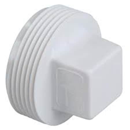 Cmp 25520050010 2 in. Male Threaded Plug - White CMP25520050010