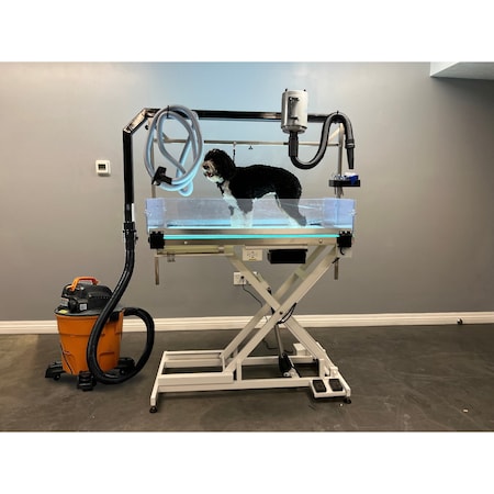 K9 Kennel Store LED Lit Master Groomer Electric Lift Table Ultimate Package FT-829LED-U