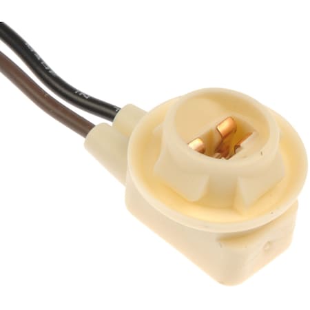 Dorman License/Side Socket, 85868