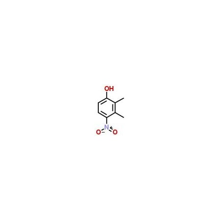 Ak Scientific 2, 3-Dimethyl-4-nitrophenol (5g), CAS 19499-93-5 B450-5g