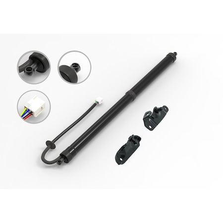 Fcs Struts Liftgate Lift Support E89028L