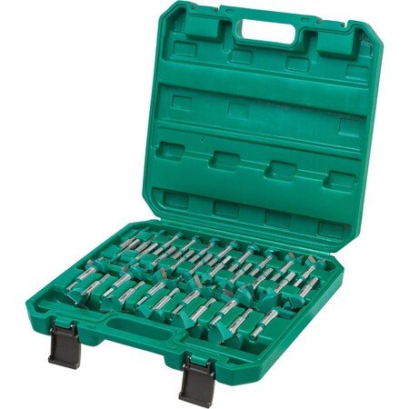 Grizzly Pro 31 Pc. Tungsten Carbide Hex Shank Forstner Bit Set, 1/4" - 2-1/8" T33697
