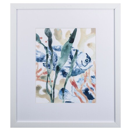 Homeroots In The Kelp I Framed Art 387774