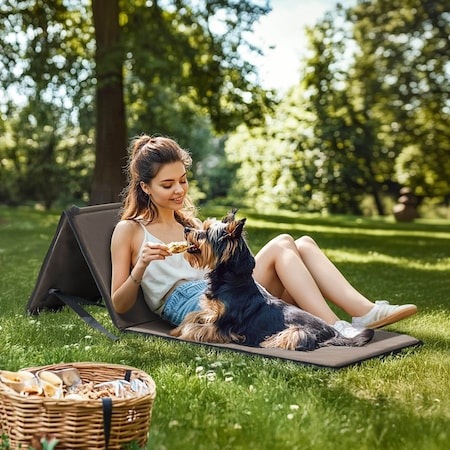 Sunjoy Portable Backrest Chair 1PK Grey F802003000