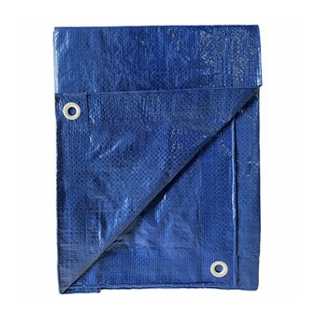 Itm Co. Ltd 10x12 BLU LD Poly Tarp LD-GT-BB-1012