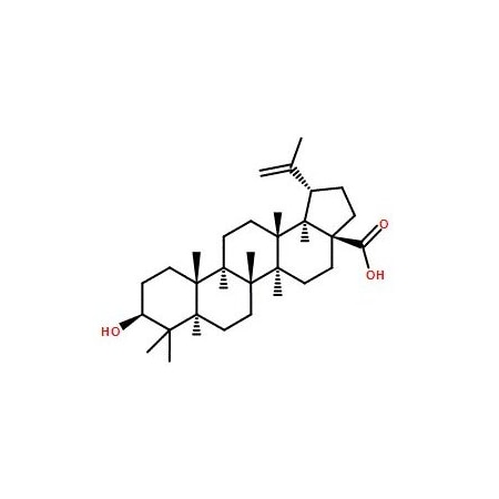 Ak Scientific Betulinic acid (25g), CAS 472-15-1 2267AH-25g