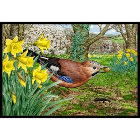 Carolines Treasures ASA2176JMAT Jay Indoor or Outdoor Mat, 24 x 36 ASA2176JMAT