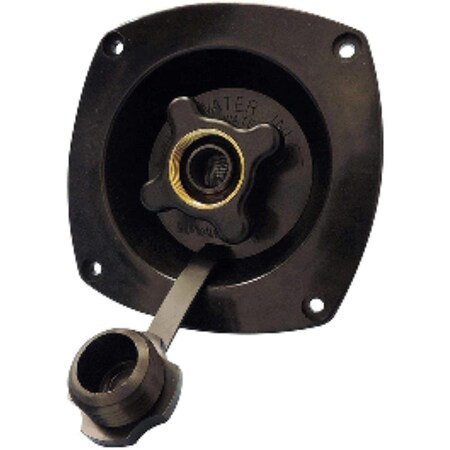 Pentair Shurflo 65 psi Internal Check Valve, Black SHR183-029-16