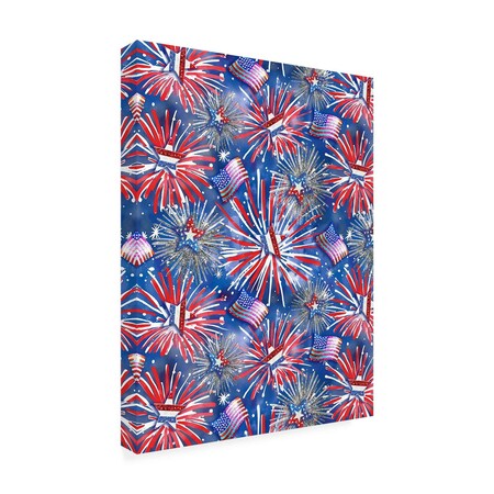 Trademark Fine Art Outdoor Canvas Art - Jess Stempel 'Fireworks 2' Wall Art for Patios, or Gardens GRL01770-OC3547WR