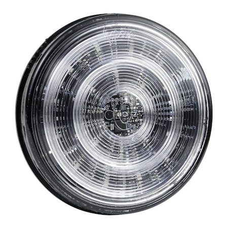 Grote Strobe Light, Blue, 12V DC 77355