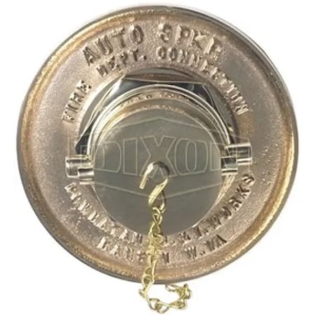 Dixon 2-1/2 in FNPT x 2-1/2 in FNH SINGLE INLET SIC250F-P