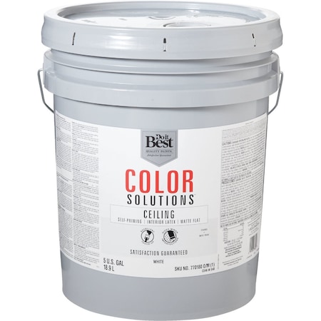 Do It Best Color Solutions Latex Self-Priming Flat Ceiling Paint Wht 5 Gal. CS46W0840-20