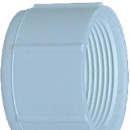 Charlotte Pipe And Foundry PVC 021171800HA 2 IN FIP CAP ) PVC 02117 1800HA
