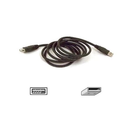 Belkin Components - Belkin Pro Series - Usb Extender - 4 Pin Usb Type F3U134B03