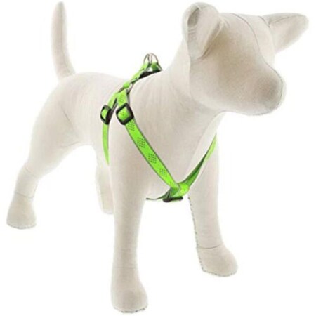 Lupine Pet Lupine 0.75 x 20-30 in. Diamond Dog Harness, Green 107744