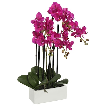 Dare2Decor 21 in. Potted Orchid, Purple DA1236052