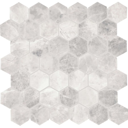 Daltile Eclessia Marble Natural Stone 2-in Hexagon Mosaic Honed, 9.70 SQFT Per Carton, 10PK M3442HEXMSHN