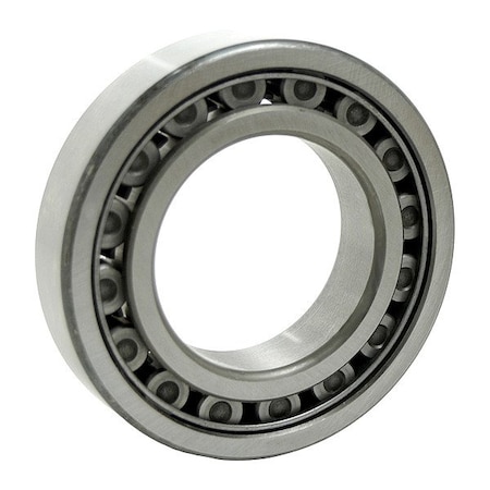 Tritan Single Row Cylindrical Roller Bearings 2101077042