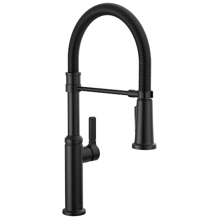 Delta Rhett Single Handle Pull-Down Spring Kitchen Faucet 18829-BL-DST