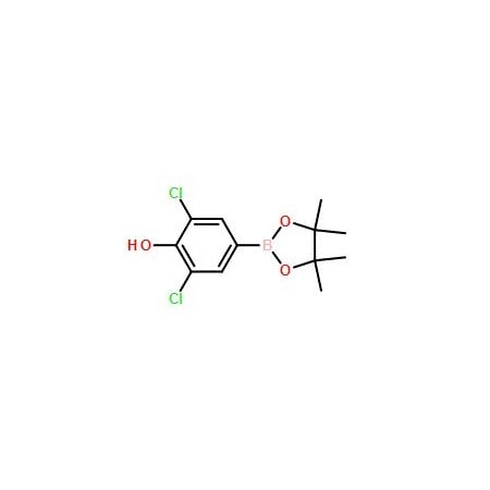 Ak Scientific 3, 5-Dichloro-4-hydroxyphenylboronic acid pinacol ester (250mg), CAS 1003298-87-0 Y3505-250mg