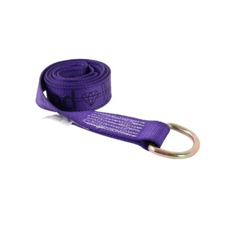 Safe N Secure safensecure/2x8/DiamondWeaveLassoStrapw/DringBest TOW-100WDR-DW