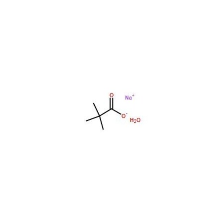 Ak Scientific Sodium trimethylacetate hydrate (1g), CAS 143174-36-1 7340AJ-1g