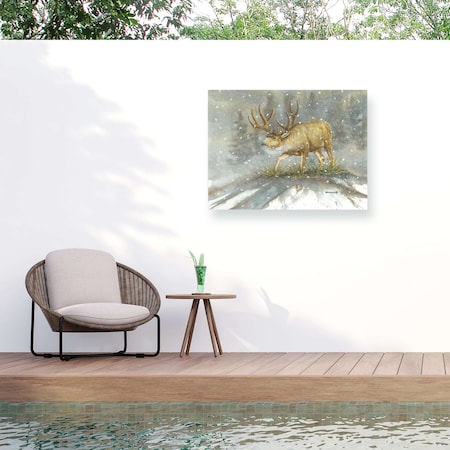 Trademark Fine Art Outdoor Canvas Art Dave Bartholet The Rut Wall Art for Patios, or Gardens GRL00227-OC1824WR