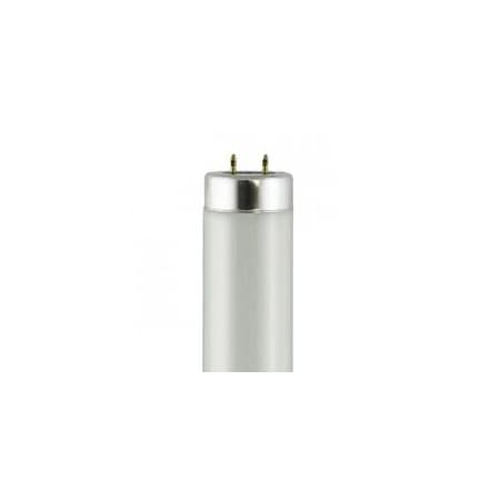 Ge Fluorescent Bulbs, 6PK F20T12/BL
