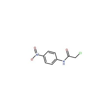 Ak Scientific N1-(4-Nitrophenyl)-2-chloroacetamide (1g), CAS 17329-87-2 Y7823-1g