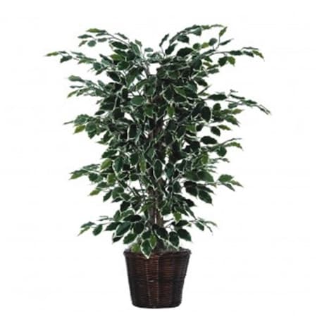 Dare2Decor 4 ft. Variegated Ficus Bush DA2677071