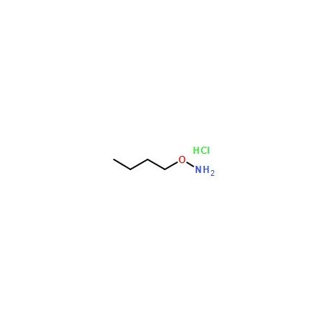 Ak Scientific O-Butylhydroxylamine HCl (100g), CAS 4490-82-8 V6009-100g