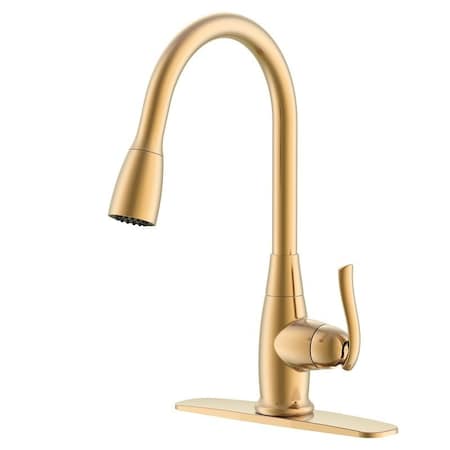 Boston Harbor KTN FAUCET PLDWN 1H CHMPG GOLD 25PB019-002