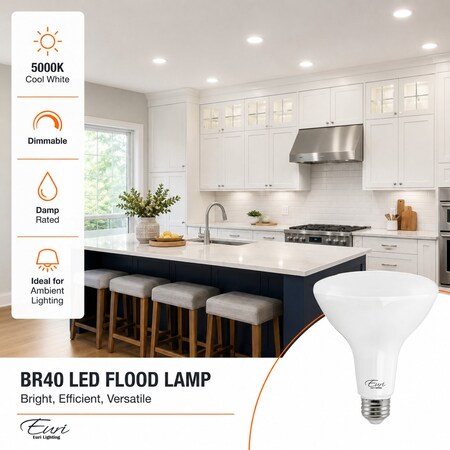 Euri Lighting BR40 LED Flood Bulb, 11W, 1000 lm, 75W Eq., 5000K, E26, Dimmable, CEC, UL EB40-11W5050cec