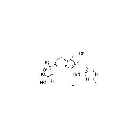 Ak Scientific Thiamine pyrophosphate chloride (5g), CAS 154-87-0 M204-5g
