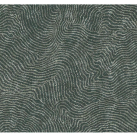 York Wallcoverings Modern Wood Forest Wallpaper Sample OI0711SAM