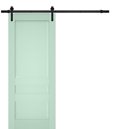 Sartodoors Sturdy Barn Door Solid Core Modern Interior VEREGIO7411BD-B-OLI-18 x 80-Black Rail