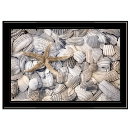 Homeroots Starfish and Seashells 4 Black Framed Print Wall Art 406929