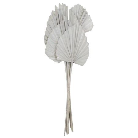 Dare2Decor 21 in. King Palm Spear Tree, White Wash - 10 DA3255200