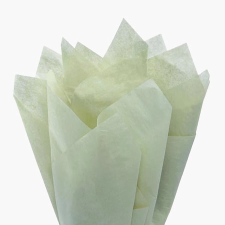 Nashville Wraps Soft Pine Green Color Tissue Paper, 20x30", 480PK CT3SP