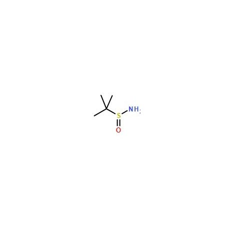 Ak Scientific 2-Methyl-2-propanesulfinamide (5g), CAS 146374-27-8 V2271-5g