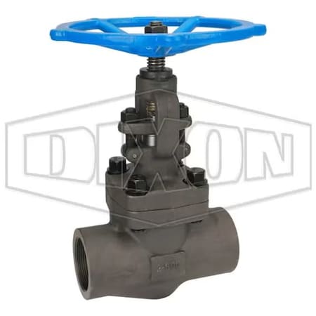 Dixon Globe Valve, 2 in Nominal, FNPT Connection End Style, Class 800, Forged Steel Body FSGLBV200