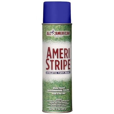 All American Paint Purple Athletic Aerosol Field Paint, 12PK 1110