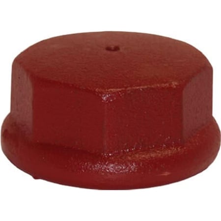 Water Source DC200 2 in. Cast Iron Drive Cap 231673