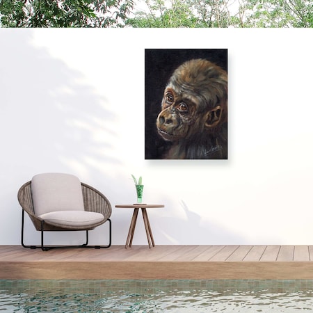 Trademark Fine Art Outdoor Canvas Art David Stribbling Baby Gorilla Wall Art for Patios, or Gardens GRL01569-OC1419WR