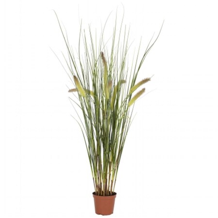 Dare2Decor 2.5 in. Grass Plant DA416978