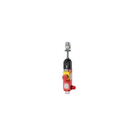 Euchner Safety Switches RPS3131SC175BHA10RL024